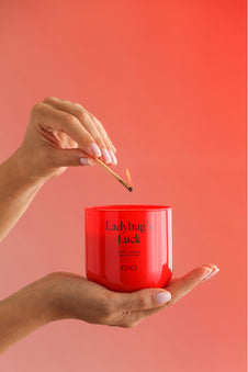 Ladybug’s Luck