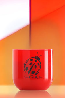 Ladybug’s Luck