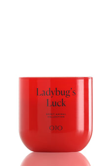 Ladybug’s Luck