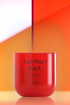 Ladybug’s Luck