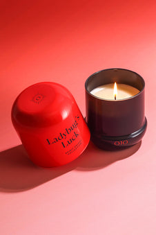 LADYBUG'S LUCK