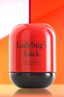 LADYBUG'S LUCK
