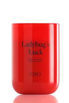 Ladybug’s Luck