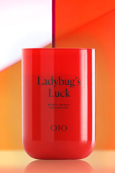 Ladybug’s Luck