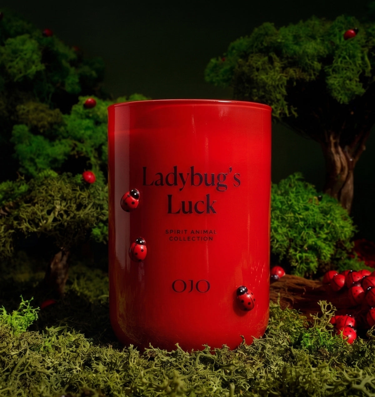 Ladybug’s Luck