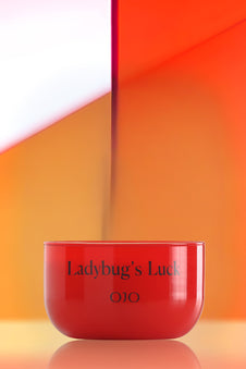 Ladybug’s Luck