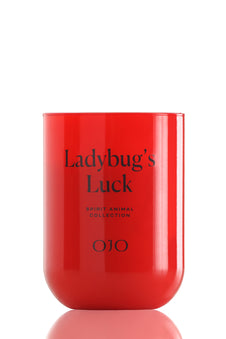 Ladybug’s Luck