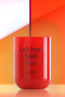 Ladybug’s Luck