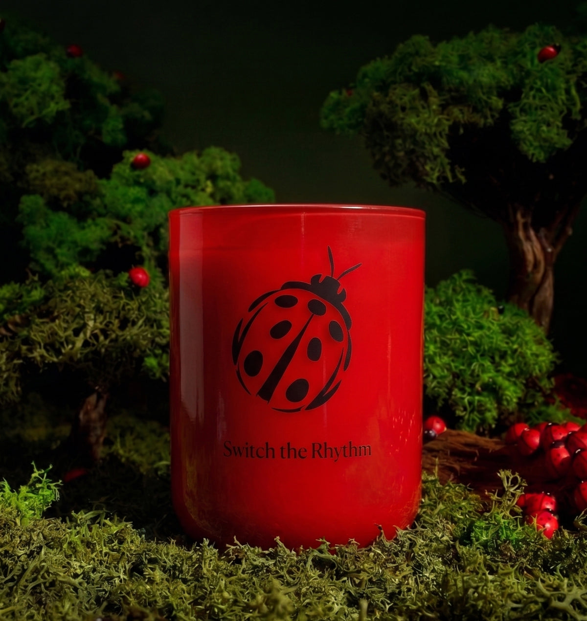 Ladybug’s Luck