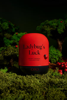 LADYBUG'S LUCK