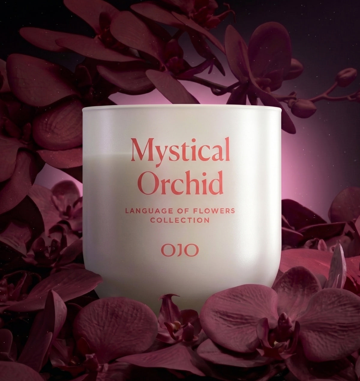 Mystical Orchid