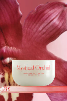 Mystical Orchid