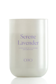 Serene Lavender