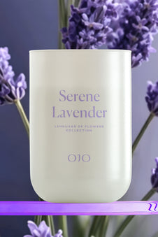 Serene Lavender