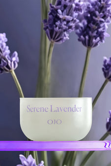Serene Lavender