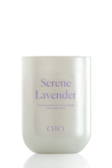 Serene Lavender