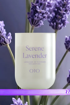 Serene Lavender