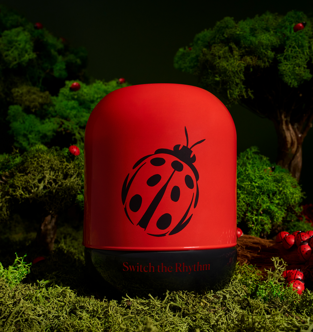 LADYBUG'S LUCK