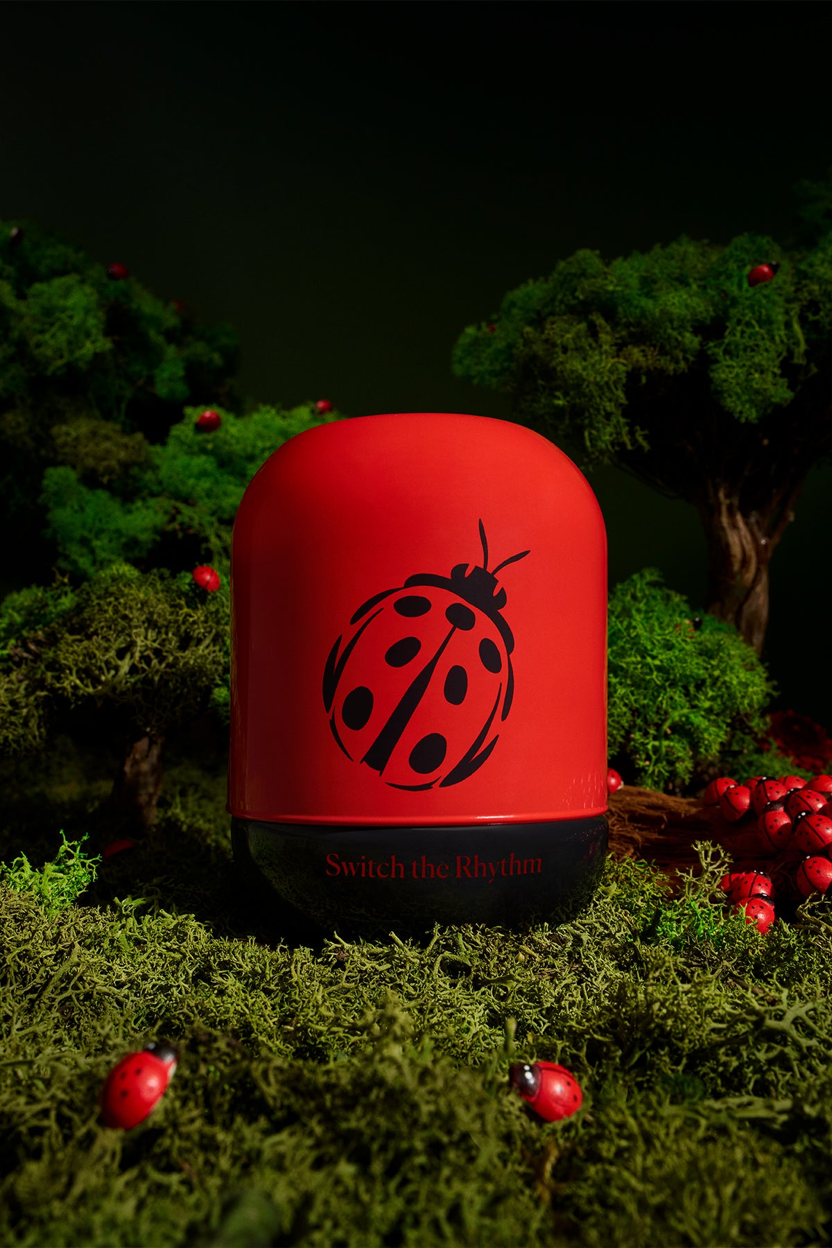 Ladybug’s Luck
