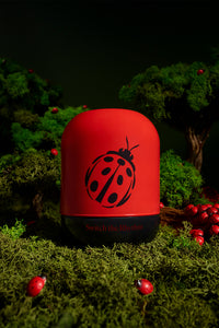 Ladybug’s Luck